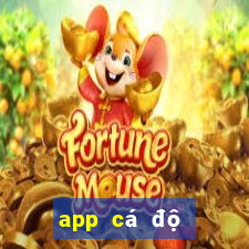 app cá độ bóng đá online h ngm n