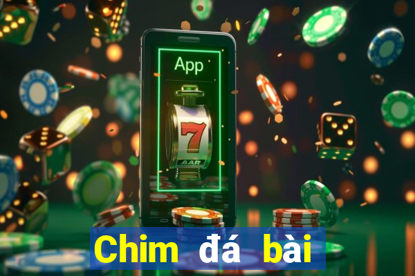 Chim đá bài địa chủ aap