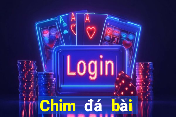 Chim đá bài địa chủ aap