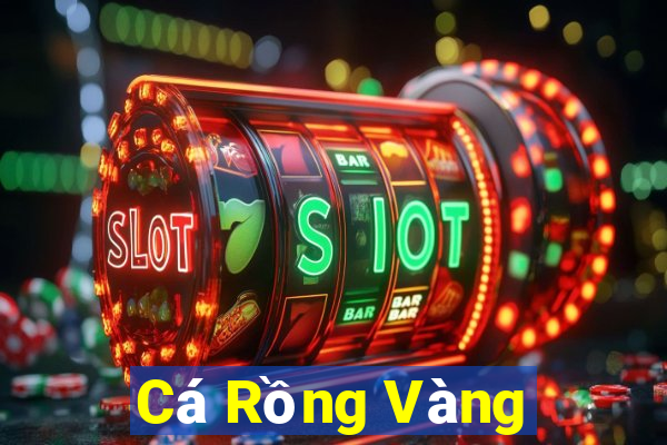 Cá Rồng Vàng