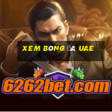 xem bóng đá uae