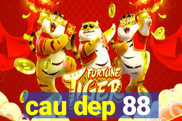 cau dep 88