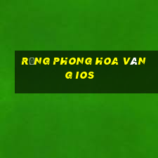 Rừng phong hoa vàng ios