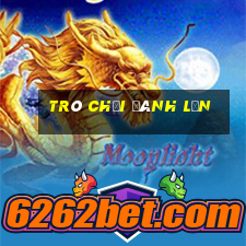 trò chơi đánh lộn