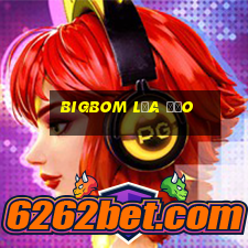 bigbom lừa đảo