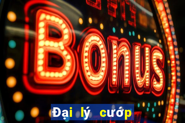 Đại lý cướp Trang bull bull