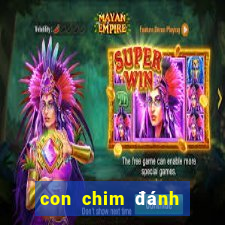 con chim đánh số mấy