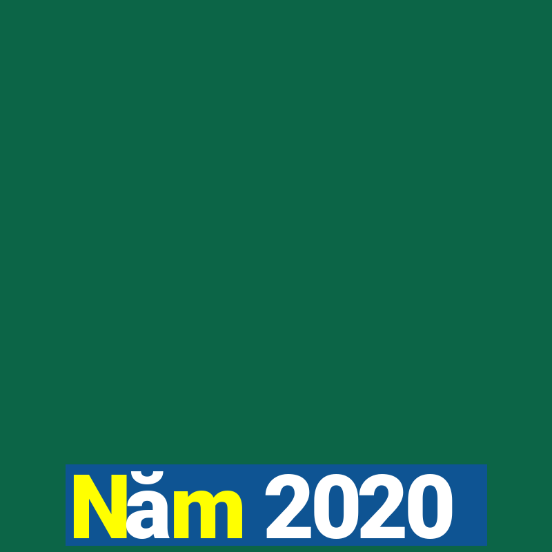 Năm 2020