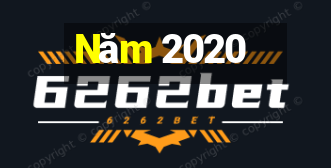 Năm 2020