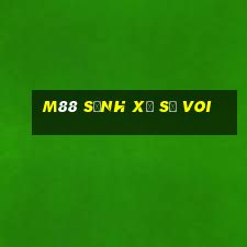 M88 Sảnh Xổ Số Voi