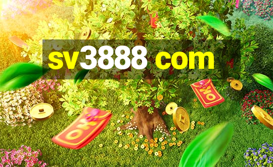 sv3888 com