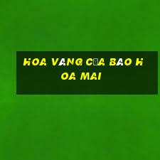 Hoa vàng của báo hoa mai