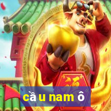 cầu nam ô