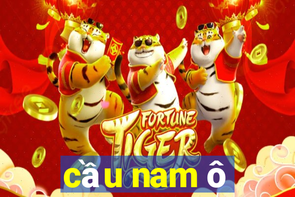 cầu nam ô