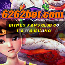 bitney fans club có lừa đảo không