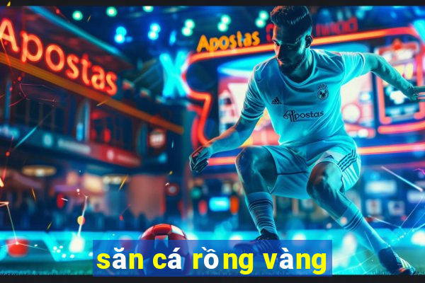 săn cá rồng vàng