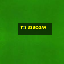 tải bigcoin