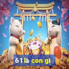 61 là con gì