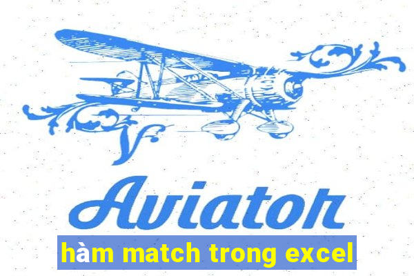 hàm match trong excel