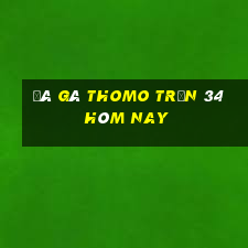 đá gà thomo trận 34 hôm nay