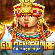 Cá cược trực tuyến King fun