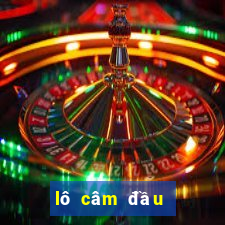 lô câm đầu đánh con gì