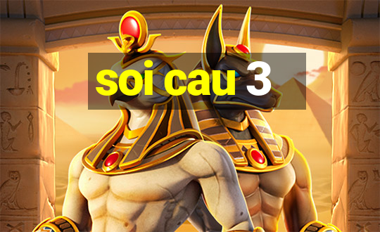 soi cau 3