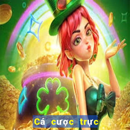 Cá cược trực tuyến Spin Casino