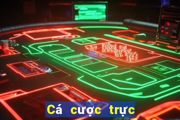 Cá cược trực tuyến Spin Casino