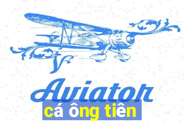 cá ông tiên