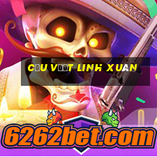 cầu vượt linh xuân