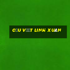 cầu vượt linh xuân