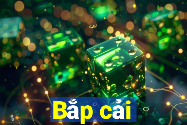 Bắp cải