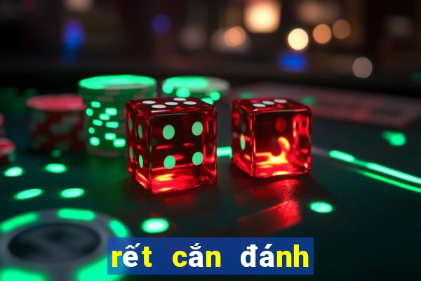 rết cắn đánh con gì