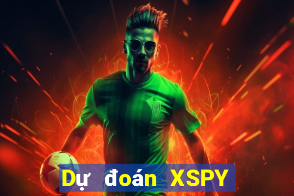 Dự đoán XSPY ngày 29