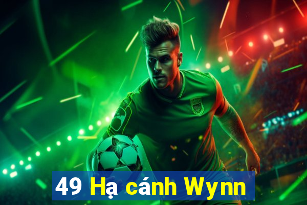 49 Hạ cánh Wynn