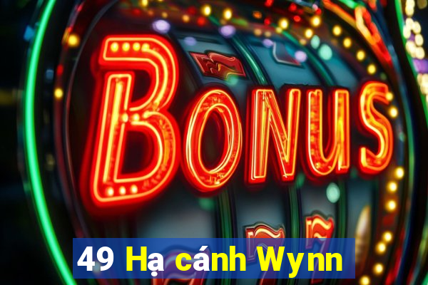 49 Hạ cánh Wynn