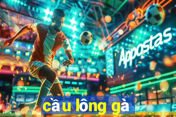 cầu lông gà