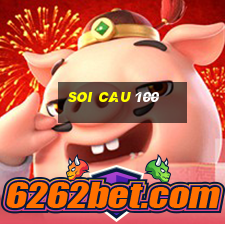 soi cau 100