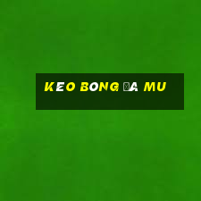 kèo bóng đá mu