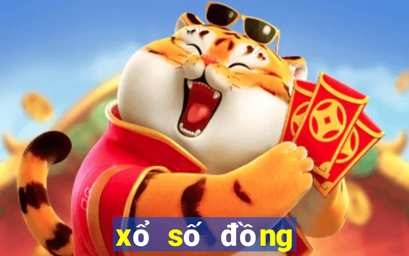 xo so dong nai 17 4