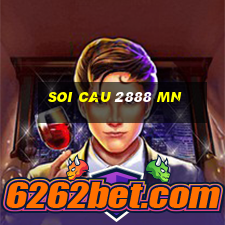 soi cau 2888 mn