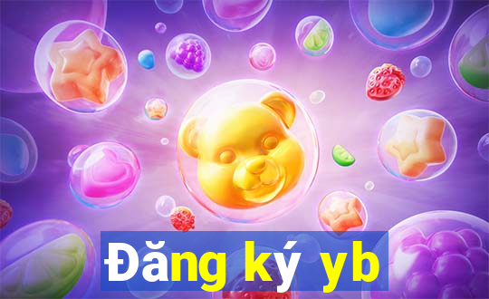 Đăng ký yb