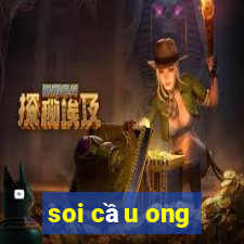 soi cầu ong