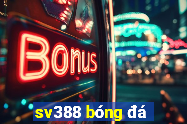 sv388 bóng đá