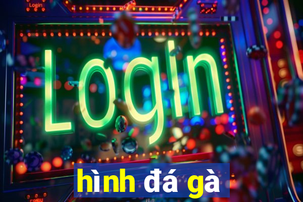 hình đá gà