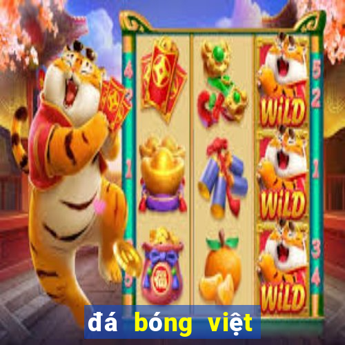 đá bóng việt nam hôm nay