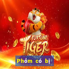 Phỏm có bị cấm không