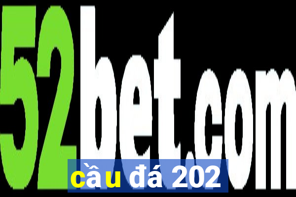 cầu đá 202