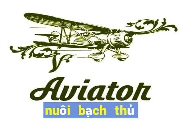 nuôi bạch thủ lô khung 3 ngày